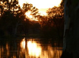 Murray River sunrise