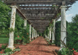 DSBG Walkway