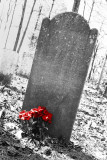 Gravestone red_roses