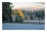 2011_fall