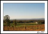 Yadkin River Valley and Wineries