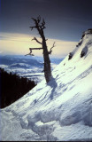 Jackson Hole WY Ski Area 004.jpg