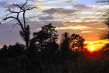 Etoniah Creek State Forest sunset