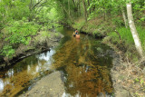 Etoniah Creek