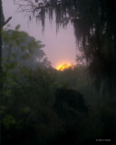 Sunset Rain 3-9-11