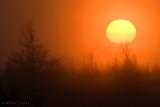 Sunrise in the Sax Zim Bog