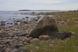 Stones & Pebbles