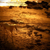 DSC_7259A.jpg