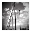 Bridge near Rotterdam