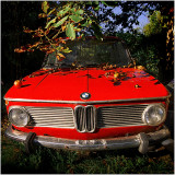 A red BMW with red apples