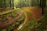 Early autumn - Vroege herfst, sprengen