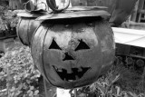 Amana Jack O Lantern