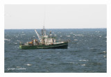 Il y encore des bateaux de pêche en Gaspésie