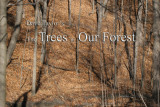 The Trees of Our Forest (e-book)
