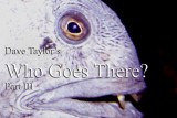 Who Goes There? Part III (e-book)