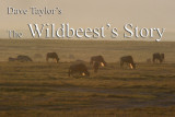 The Wildebeest's Story (e-book)