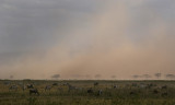 Amboseli N.P. dust storm