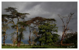 Ngorongoro storm