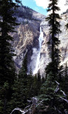 Takawaka Falls, Yoho N.P.