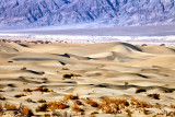 Mesquite Dunes