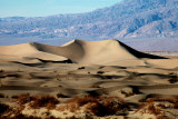 Mesquite Dunes.jpg
