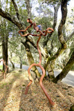 Paradise Ridge Winery Sculpture Garden