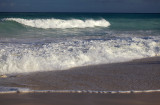IMG_3866.jpg