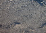 _S0C5709.jpg