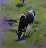 Advancing Cows 14 1/16 x 13 3/4