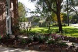 Front garden