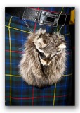 A most unusual sporran....