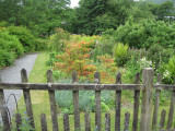 Ruskin garden