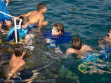 IMG_1166.jpg