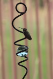 Hummingbird Merry-go-round