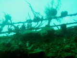 CC_11_2_20.jpg
