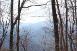 blue mountains and leafless trees