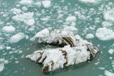 Near Hubbard Glacier