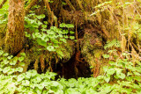 Ketchikan, Alaska - Day Nine
