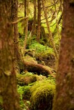 Ketchikan, Alaska - Day Nine