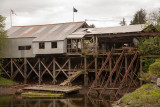 Ketchikan, Alaska - Day Nine