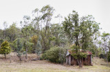 Wollombi006.jpg