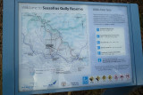 Sassafras Gully Walk