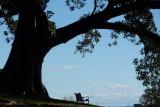 Solitude in the Park