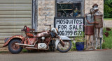 Mosquitos for Sale ?