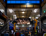 Dick's Sporting Goods