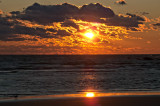 Sunset and bird - Town Beach, Old Saybrook