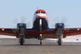 An unusual visitor in Saskatoon.