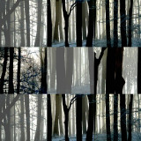 collage3.jpg