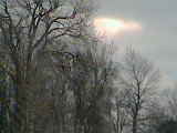 Photo016.jpg