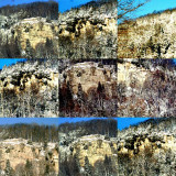 collage59.jpg